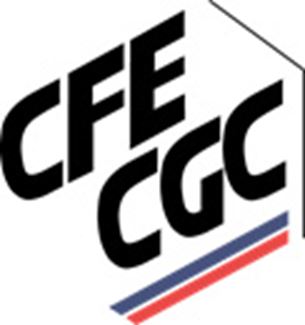 Logo CFE CGC