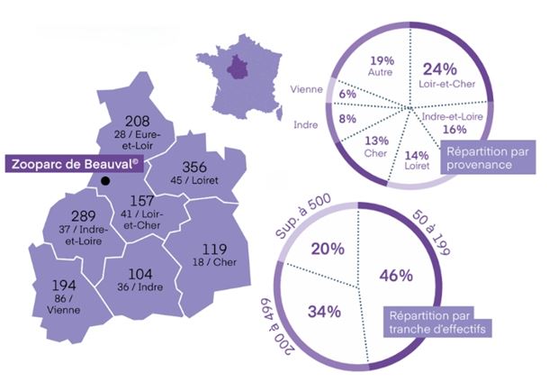 Infographie 2026 sur Beauval