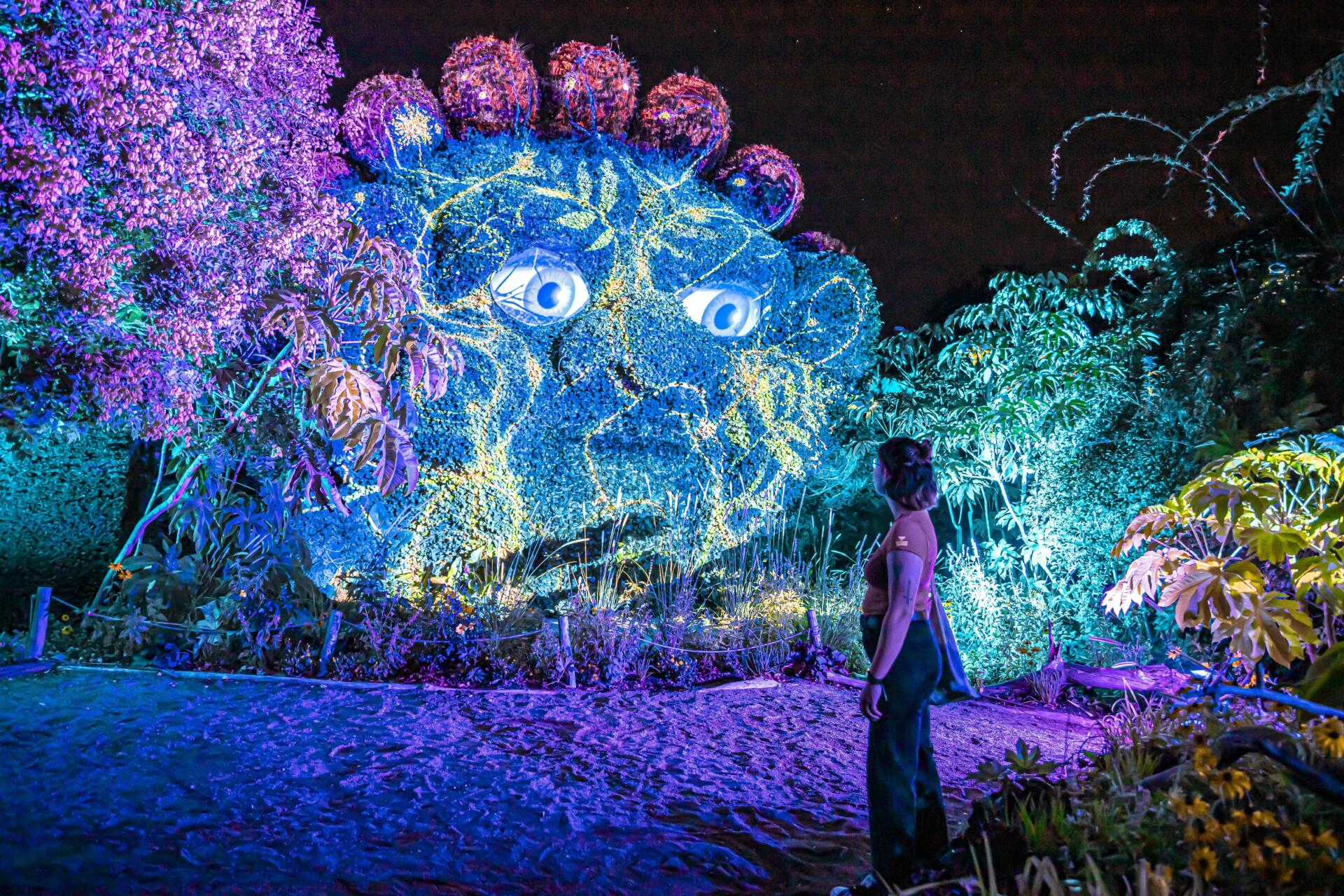 Femme regardant un jeu de lumière sur des plantes