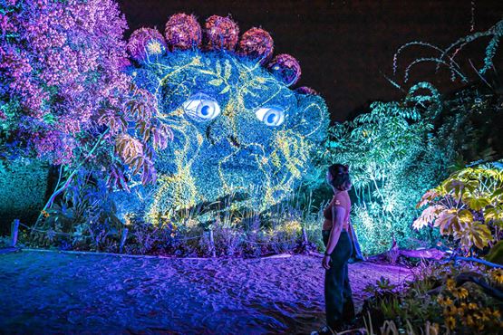 Femme regardant un jeu de lumière sur des plantes
