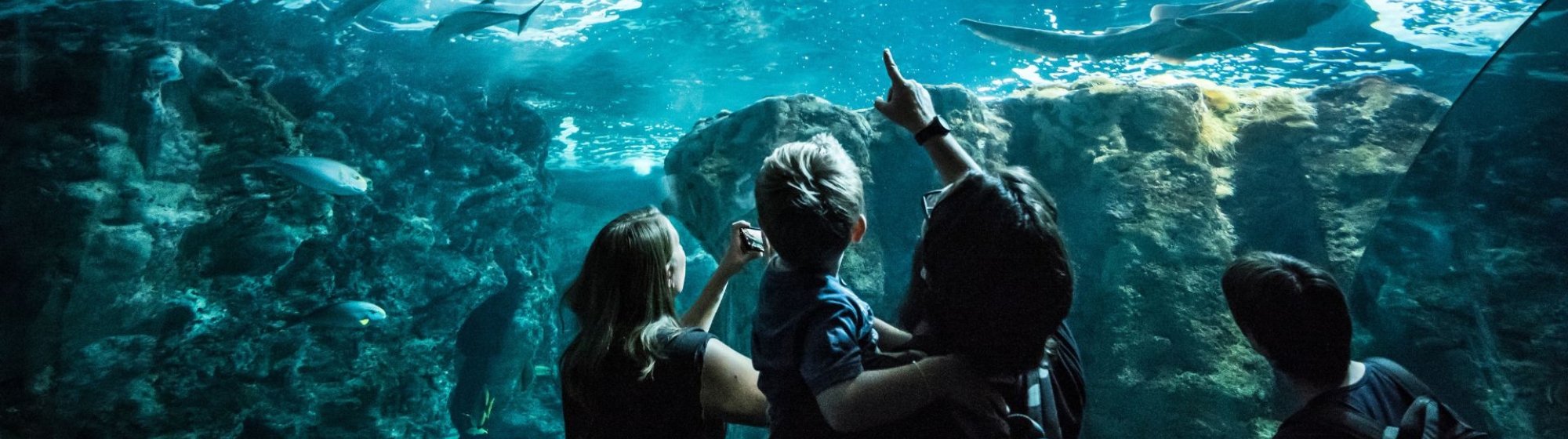 Adultes et enfants devant un aquarium regardant les poissons