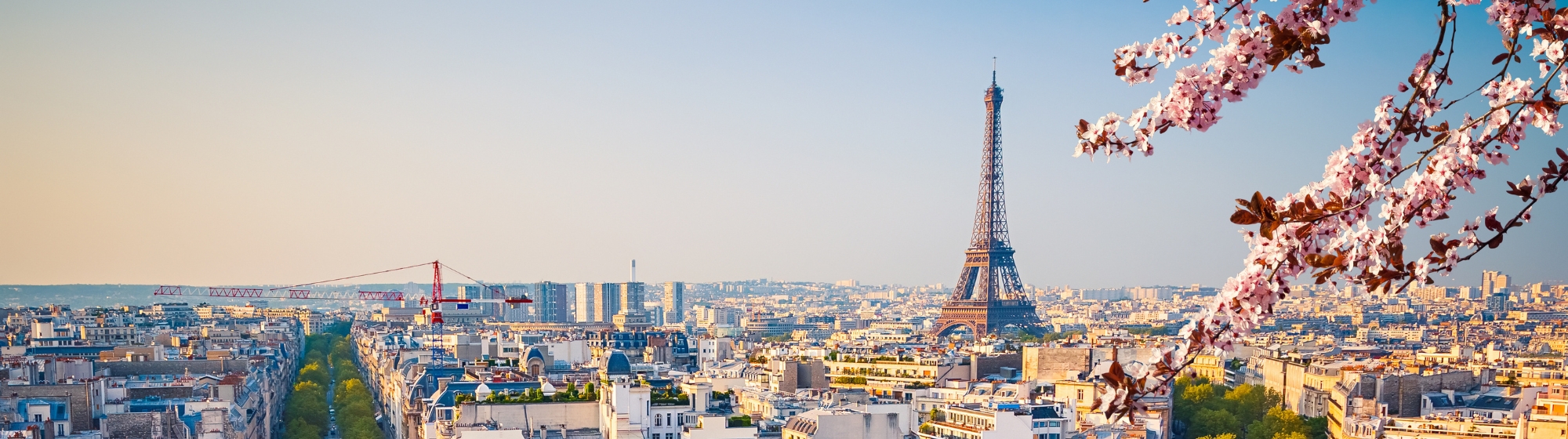 Vue panoramique de Paris au printemps avec la tour Eiffel et des cerisiers en fleurs au premier plan