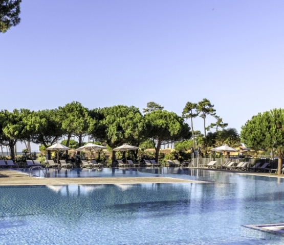Piscine entourée d'arbres