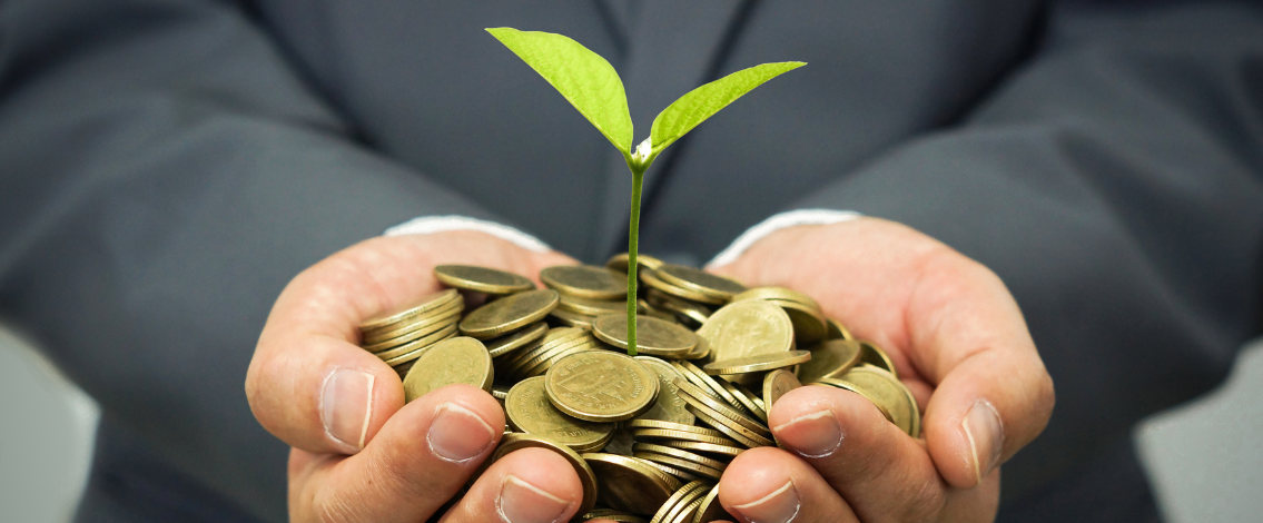 Une main tenant des pièces de monnaies et une plante