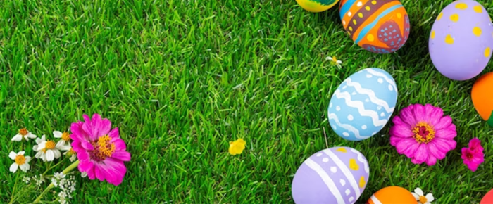 Des oeufs de Pâques posés sur l'herbe