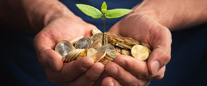 Une personne tenant de l'argent et une plante
