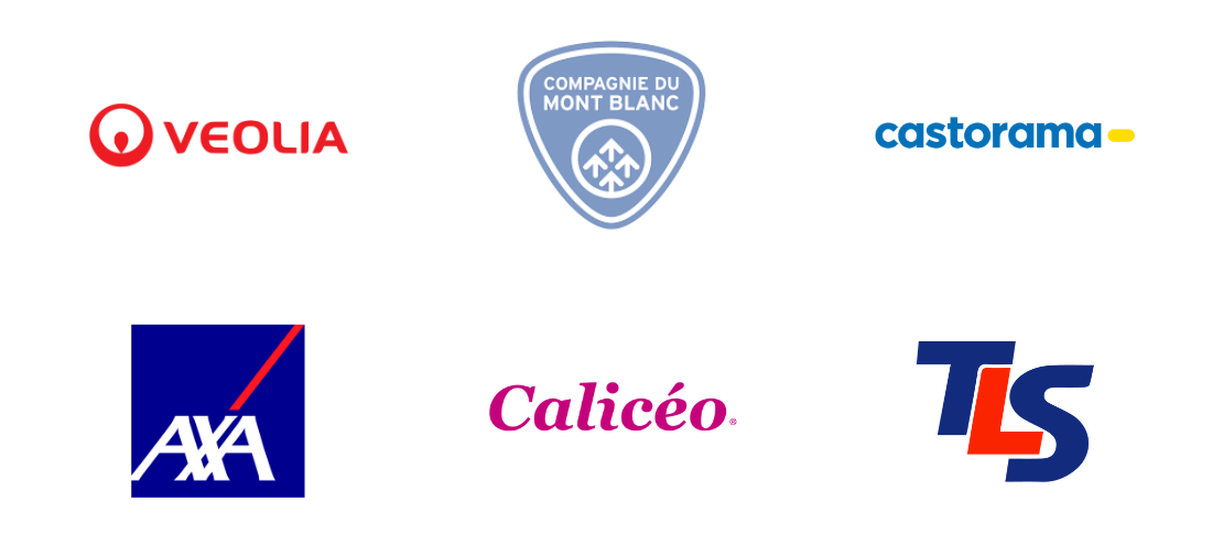 Logo des CSE qui visitent les salons SolutionsCSE : Veolia, Compagnie du Mont Blanc, Castorama, AXA, Calicéo, Toyota Logistics Services