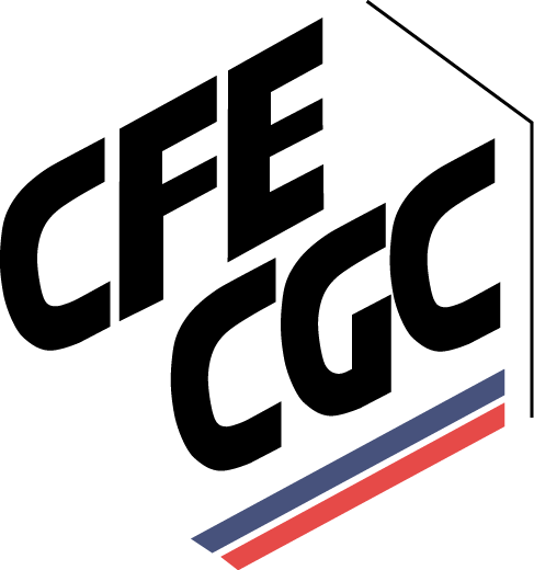 logo cfe cgc partenaire