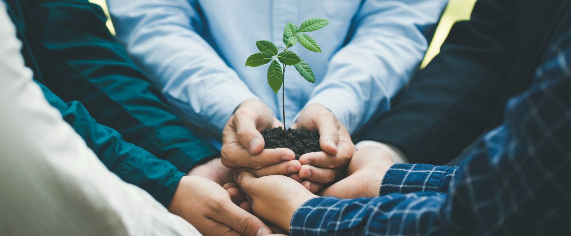multiple-hands-holding-plant Plusieurs mains soutiennent un jeune plant dans la terre symbolisant croissance et coopération
